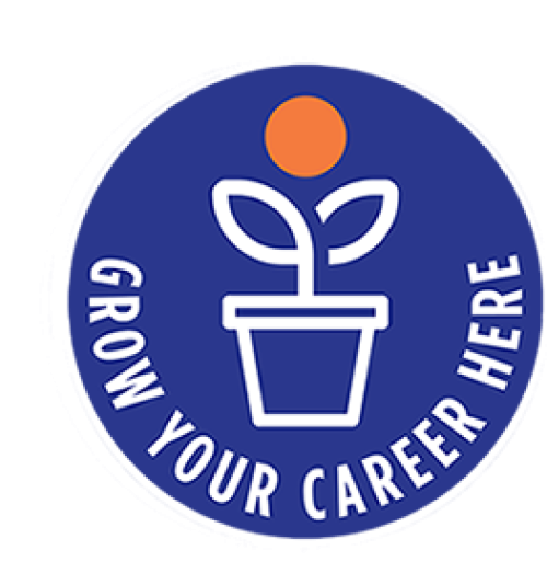 Grow your career here.