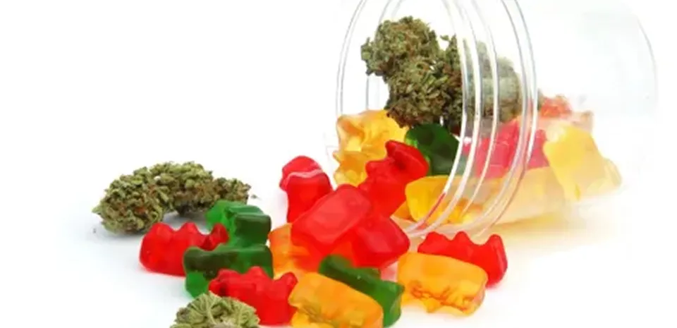 Marijuana gummy bears